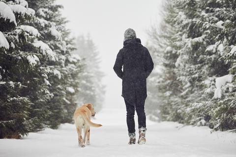 woman walking in snow with dog